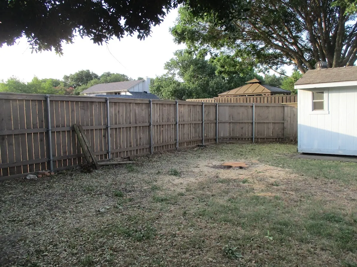 Cleared yard after professional tree removal in Brockport